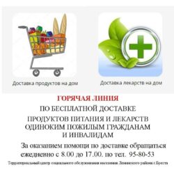 Доставка продуктов питания и лекарств одиноким пожилым гражданам и инвалидам