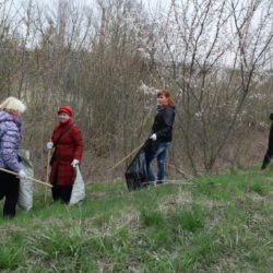 Сотрудники территориального центра участвовали в общегородской экологической акции