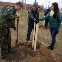 Сотрудники центра приняли участие в акции «1000 деревьев к 1000-летию Бреста»