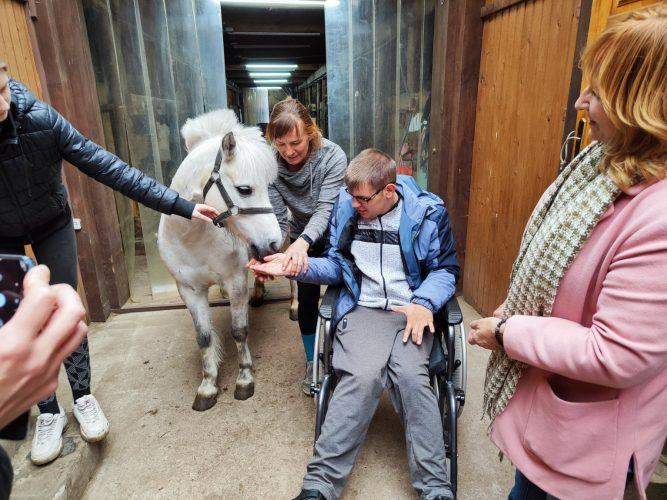 "Лошадемания" принимает гостей