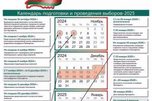 Выборы-2025: важно знать