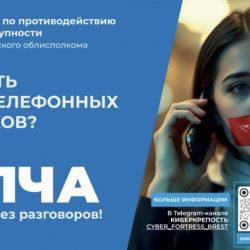 Профилактика киберпреступности