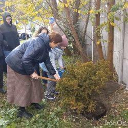 Участие в акции, организованной администрацией Ленинского района г. Бреста "Дерево - символ единства"