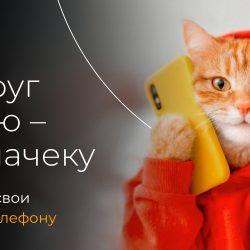 "Дружеский совет" от МВД и Нацбанка